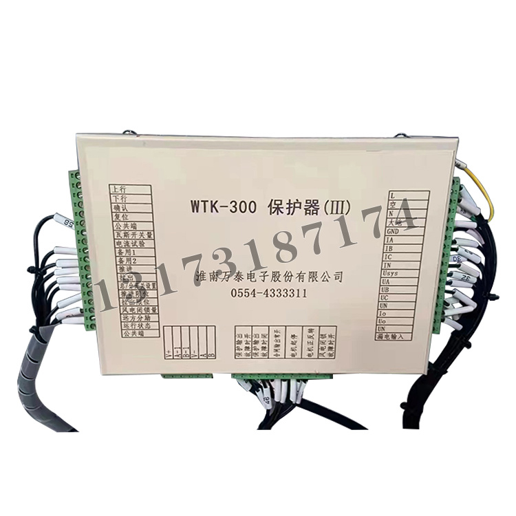 淮南萬(wàn)泰WTK-300保護器(III)-1.jpg